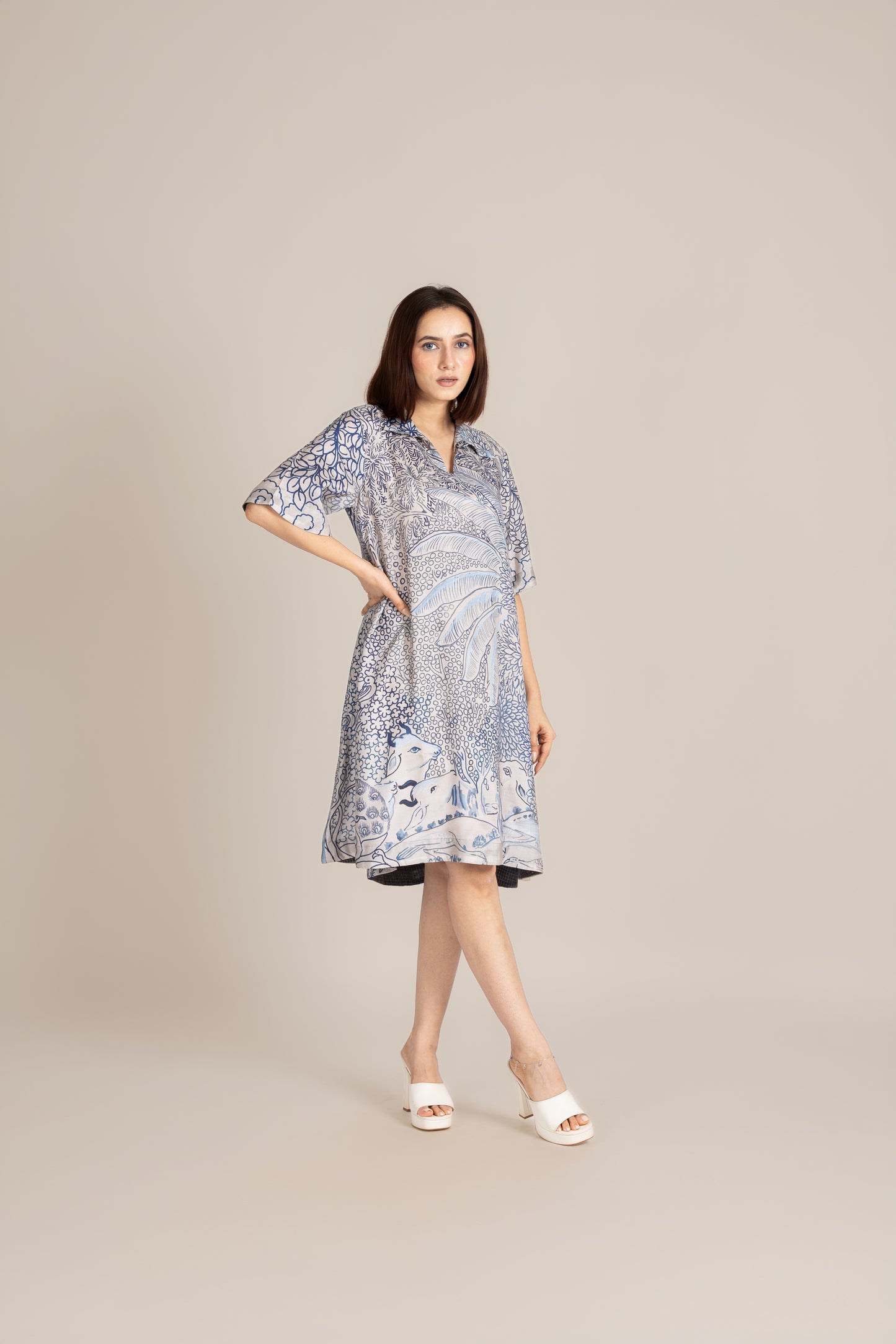 Pichwai dress