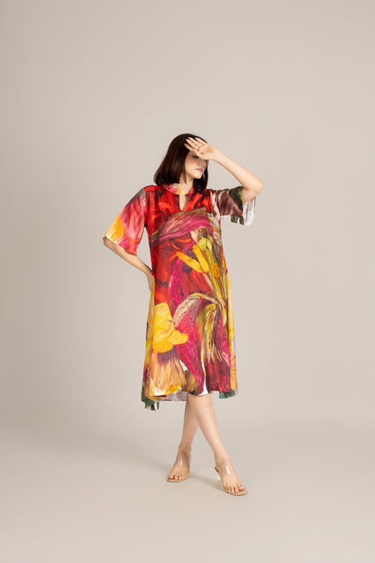 Scarlet ember dress