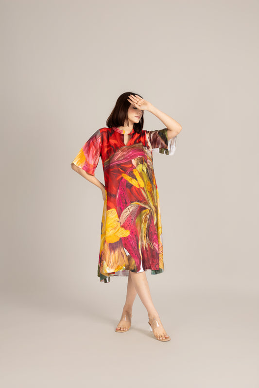 Scarlet ember dress