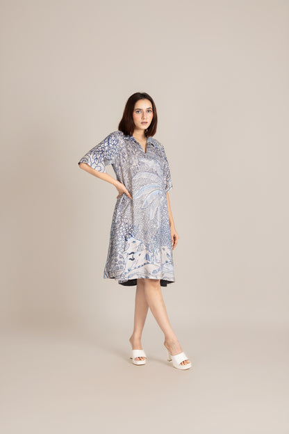 Pichwai dress